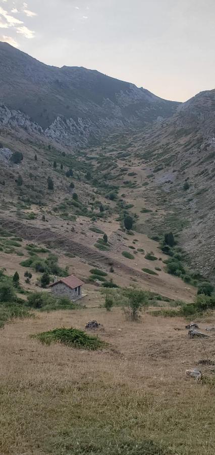 Casa Rural Carmen Luna Mallo de Luna Buitenkant foto